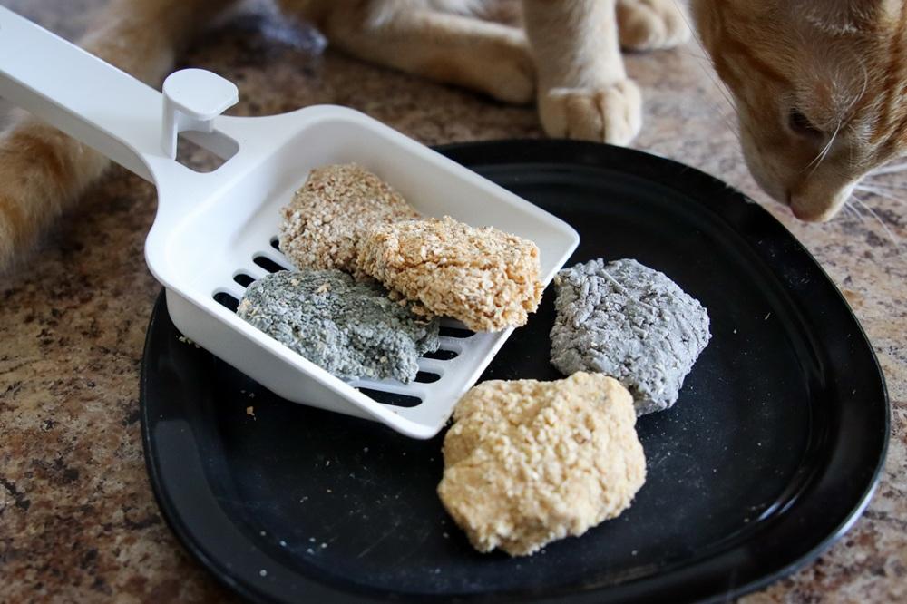 10 Best Clumping Cat Litters