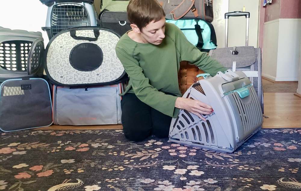 Best Cat Carriers testing