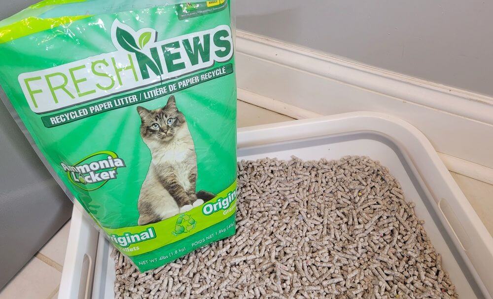 Fresh News Unscented Non-Clumping Paper Cat Litter