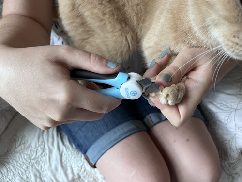 Gonicc Professional Nail Clippers