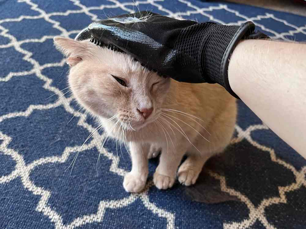 HandsOn All-In-One Pet Bathing & Grooming Gloves