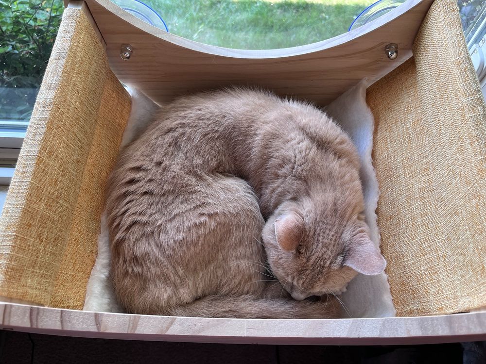 HAPYKITYS Window Cat Bed