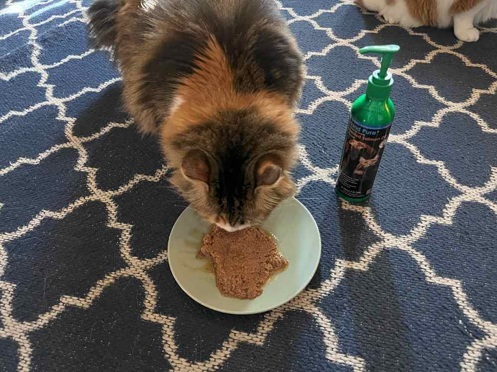 Iceland Pure Pet Pharmaceutical Grade Salmon Oil