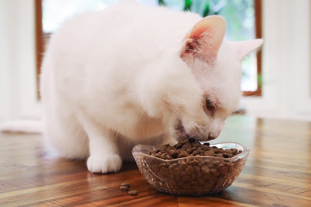 Instinct Original Grain-Free with Real Chicken Freeze-Dried Raw Coated Cat Food