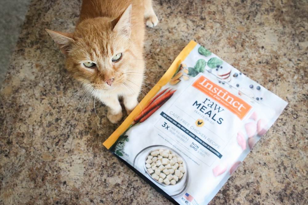 Instinct Raw Frozen Bites Chicken Recipe