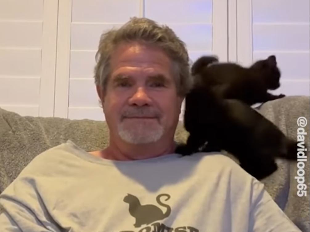 Mama cat sighting… and another abandonment!