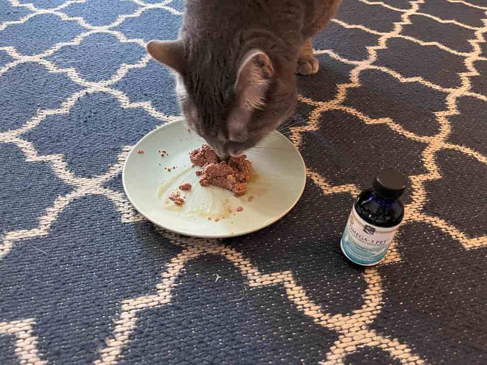Nordic Naturals Omega-3 Pet Liquid Supplement