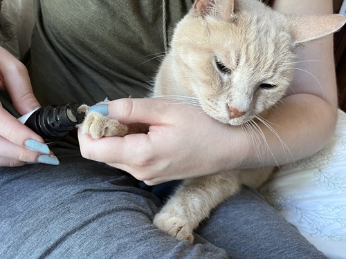 PATPET N8 Quiet Small Pet Nail Grinder