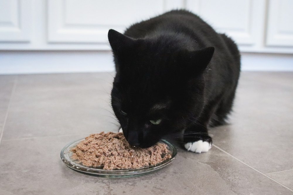 RAWZ 96% Turkey and Turkey Liver Pâté.