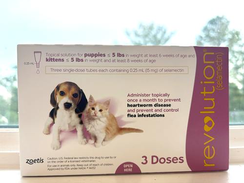 Revolution Topical Solution for Cats