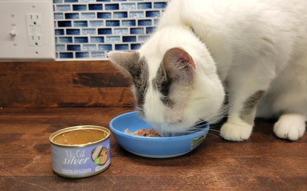 Tiki Cat Silver Chicken, Duck, Duck Liver Wet Cat Food