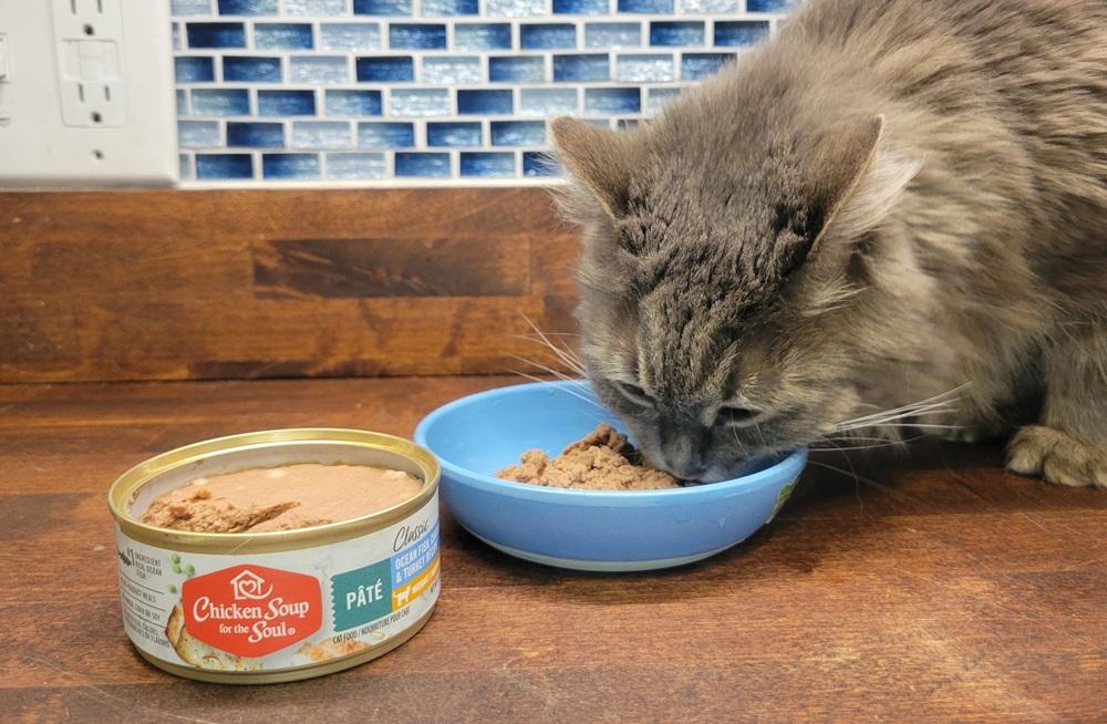 Chicken Soup for the Soul Weight & Mature Care Canned Cat Food