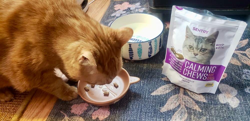 Sentry Calming Chews for Cats