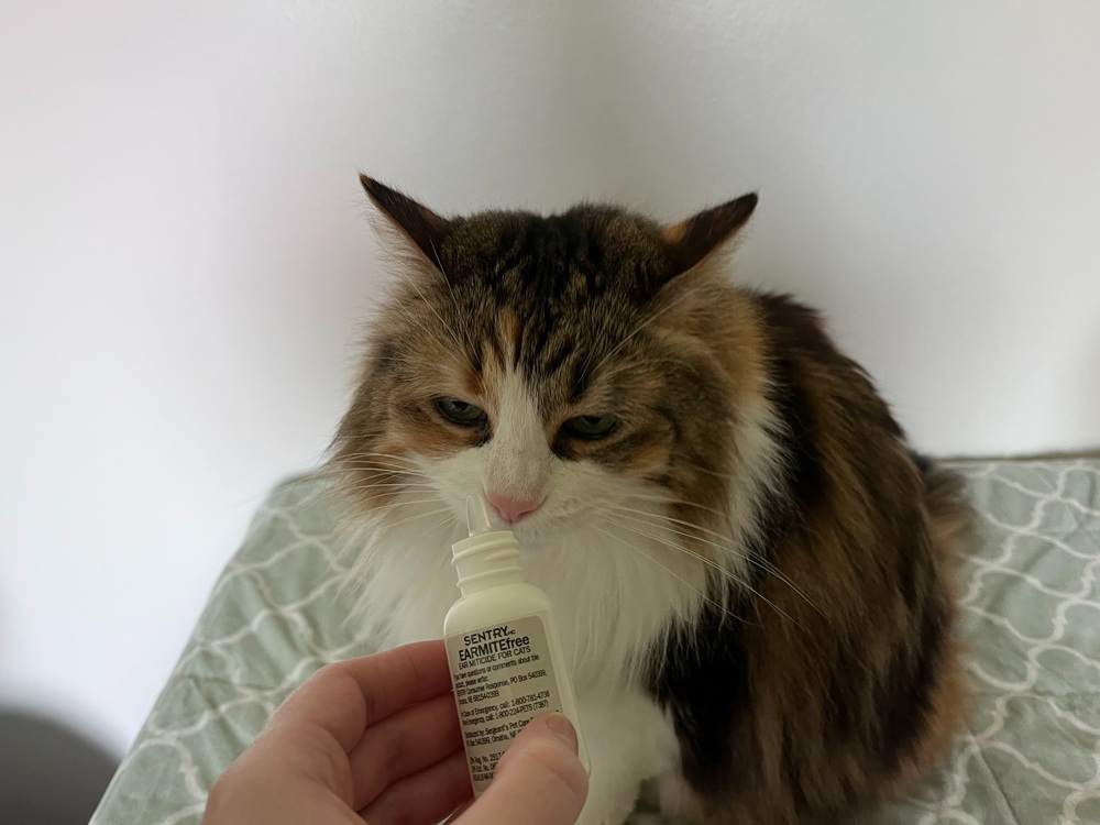 Sentry HC EARMITE Free Ear Miticide for Cats