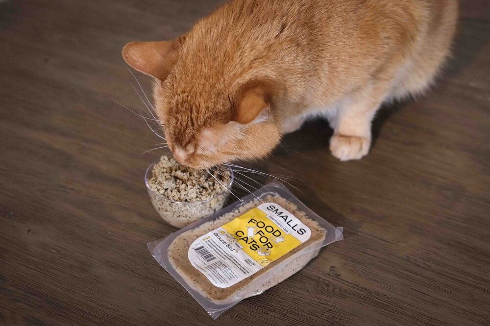 Orange cat eating from small bowl next to package of Smalls cat food