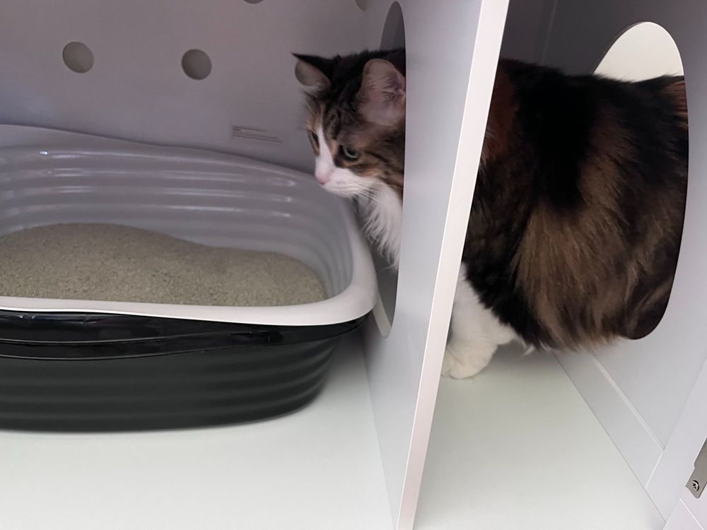 Yaheetech Litter Box Furniture Cat House