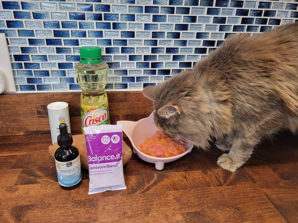 Turkey Breast and Sweet Potato Recipe