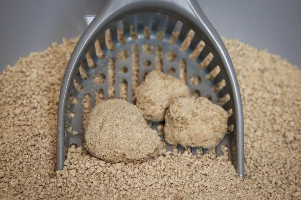 Worlds-Best-Cat-Litter-Multiple-Cat-Unscented...